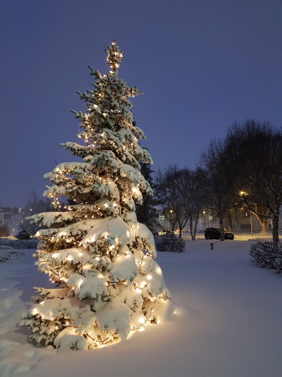 Mynd: Herdís Helgadóttir