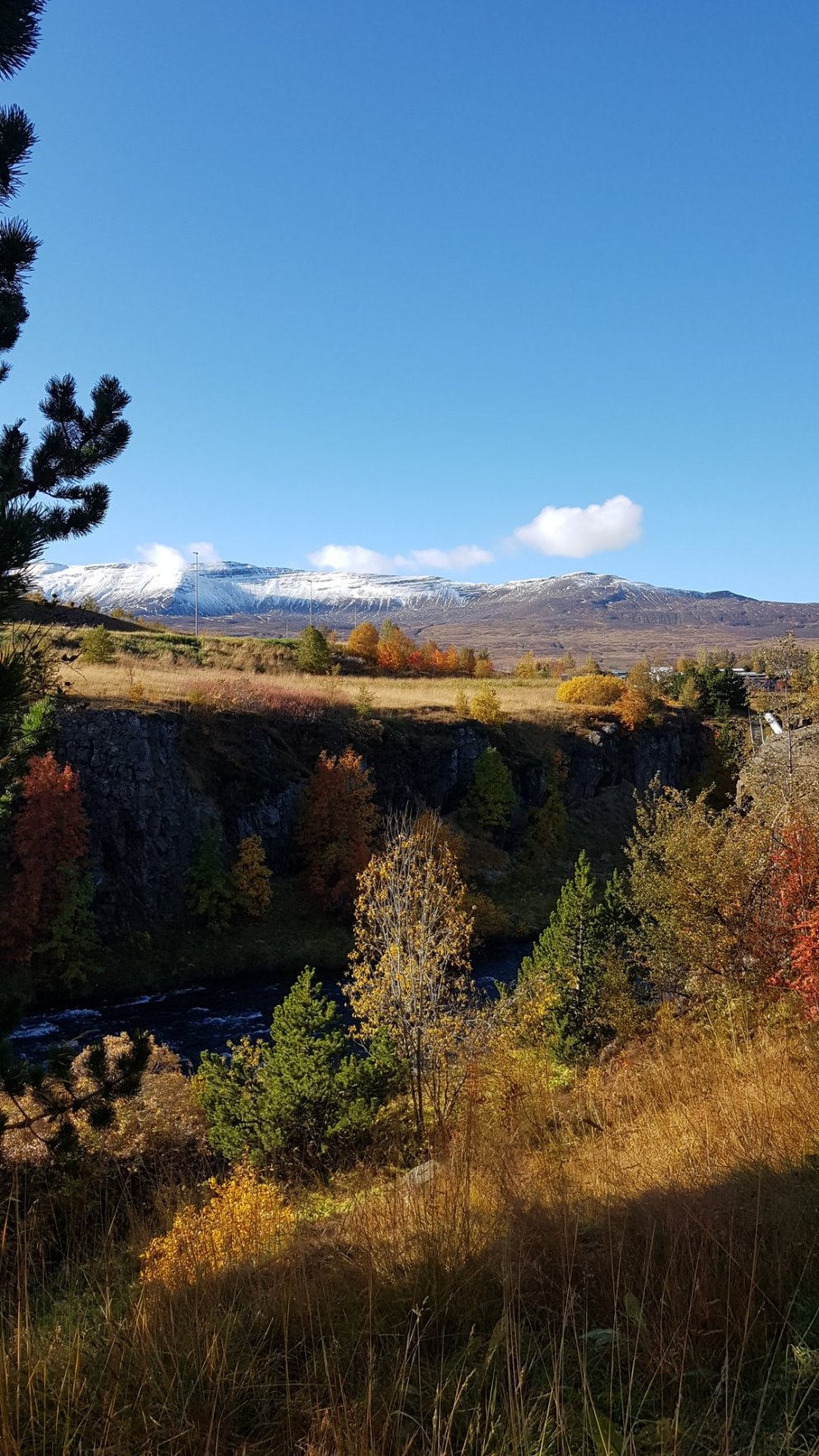 Rafrænar umsóknir um aðstoð