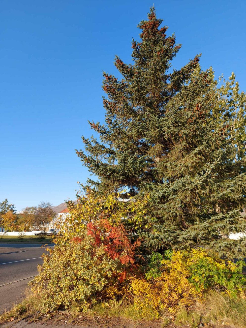 Söfnun fyrir jólaaðstoð fer brátt af stað