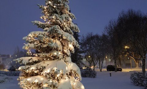 Mynd: Herdís Helgadóttir