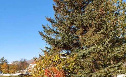 Söfnun fyrir jólaaðstoð fer brátt af stað