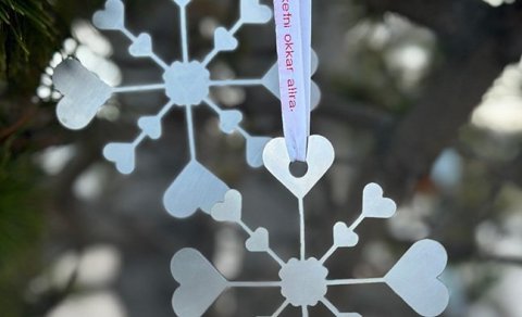 Velferðarstjarnan. Mynd: glerartorg.is